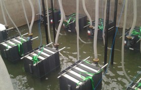 發(fā)電廠垃圾滲濾液水質(zhì)特點是什么？