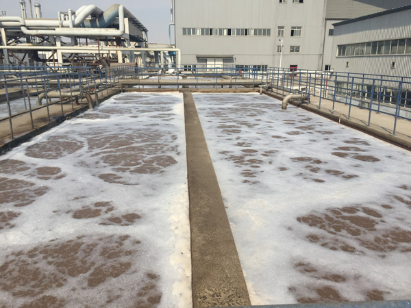 除磷劑是什么藥劑？水里的總磷來自哪里？
